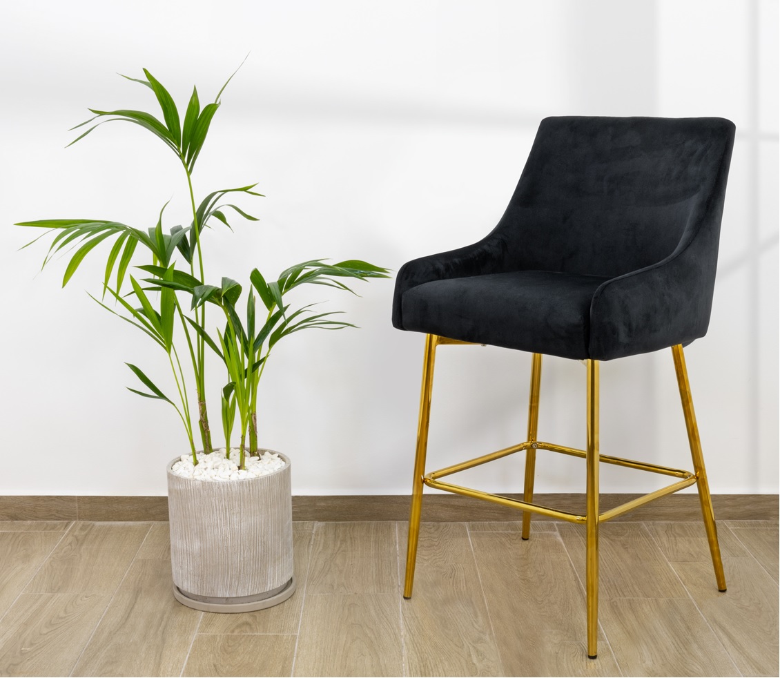 ���� �� ����� ����� ������ ���� ��� ��� ����