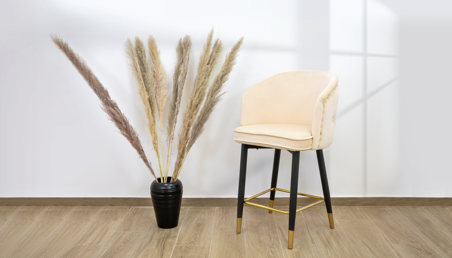 ���� �� ����� ����� ��� ������ ���� ������