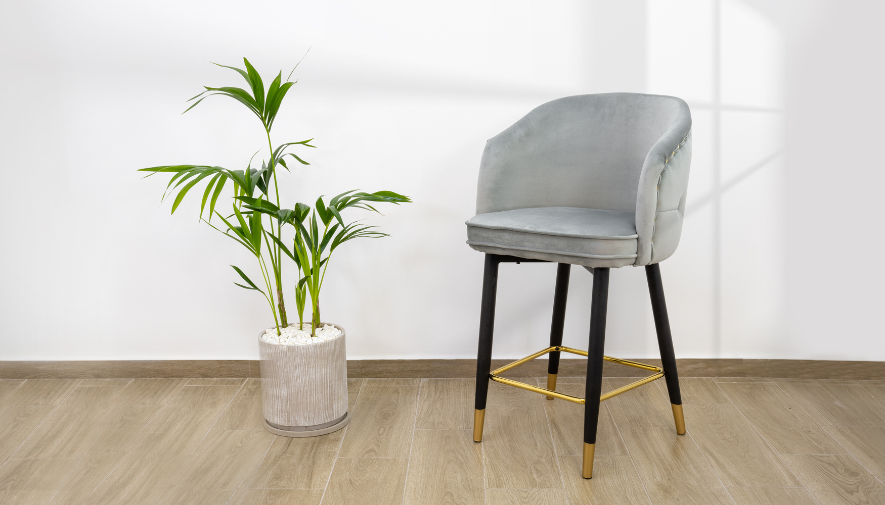 ���� �� ����� ����� ��� ������ ���� ������