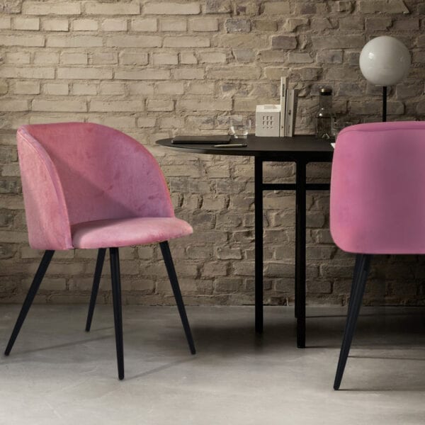 ���� ����� ����� ���� ����� ����� ��� ������