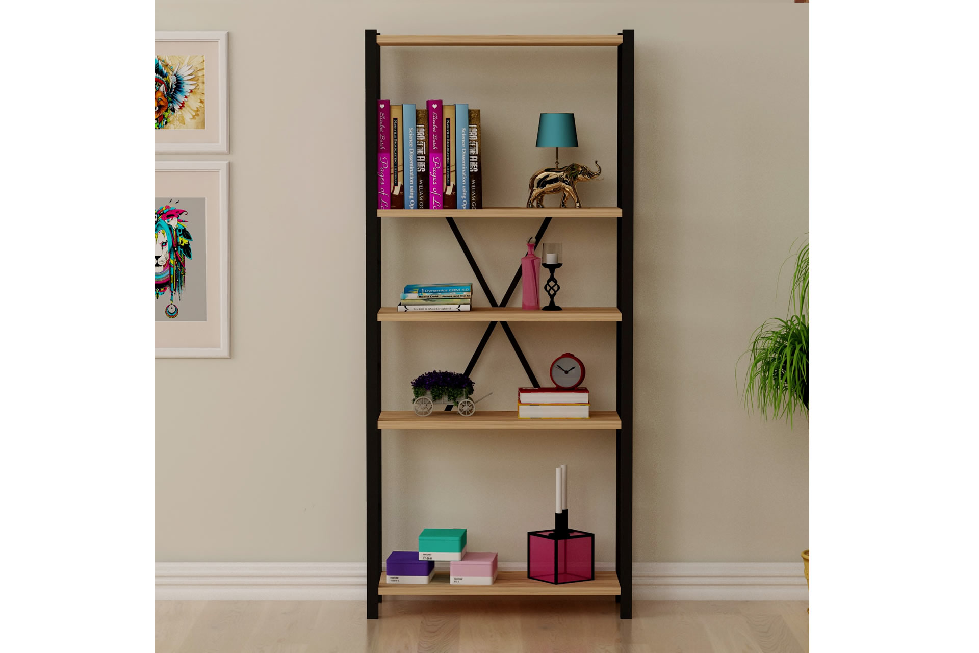 ������ ����� 5 ����� ���� 63 �� ����� ������ ����� �� Tudo Design ��� �����