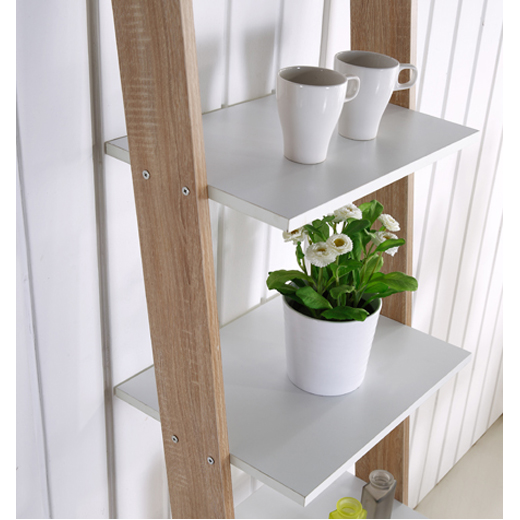 VECTOR ������ ����� �� ����� ���� 186 �"� ���� ���� ������ TUDO DESIGN