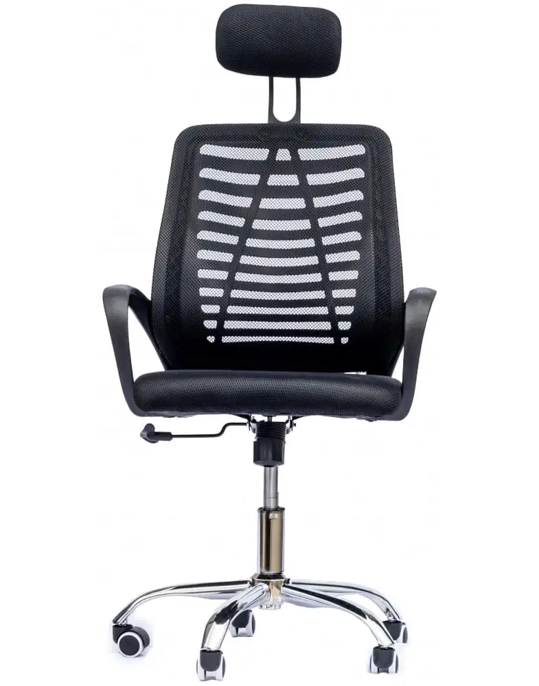 ���� ����� ����� ����� ��� Salsa ���� ���� ������ TUDO DESIGN