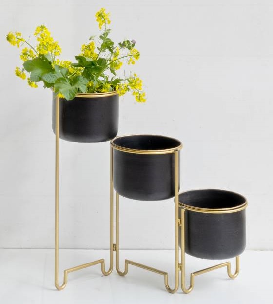 ������� �������� ���� �� ���� ��� ���� ���� ������ TUDO DESIGN