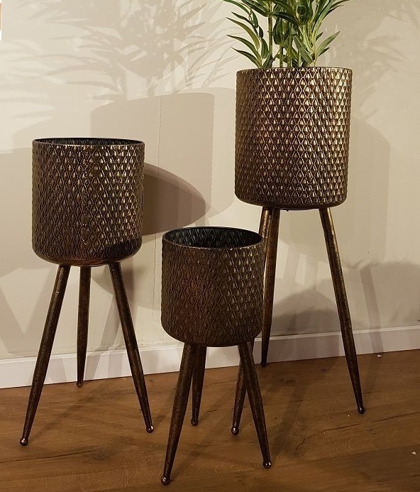 �� 3 ����� ������ �������� ����� ���� ���� ������ TUDO DESIGN