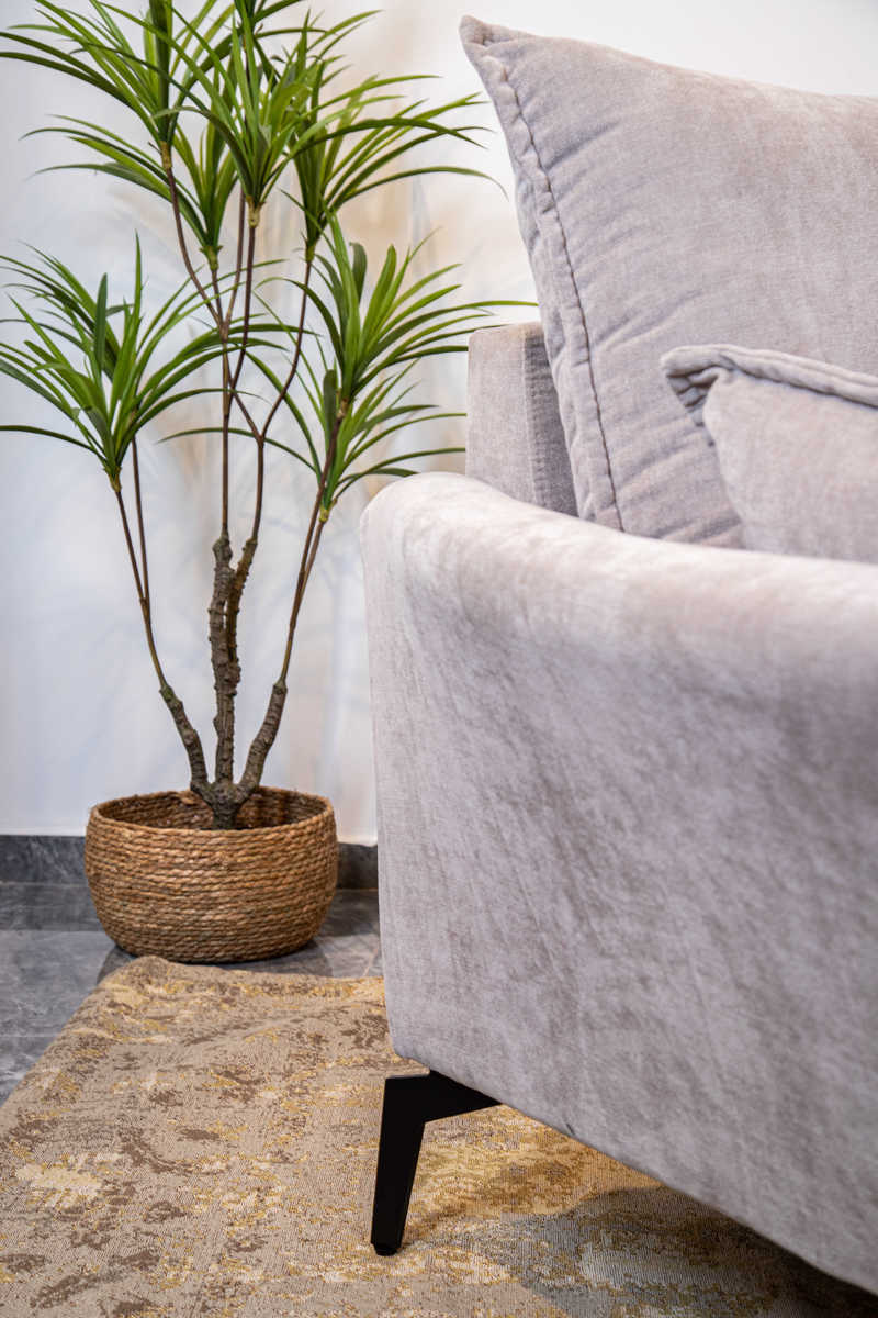 ����� ��� ���� ����� ���� ���� ���� ���� ������ TUDO DESIGN