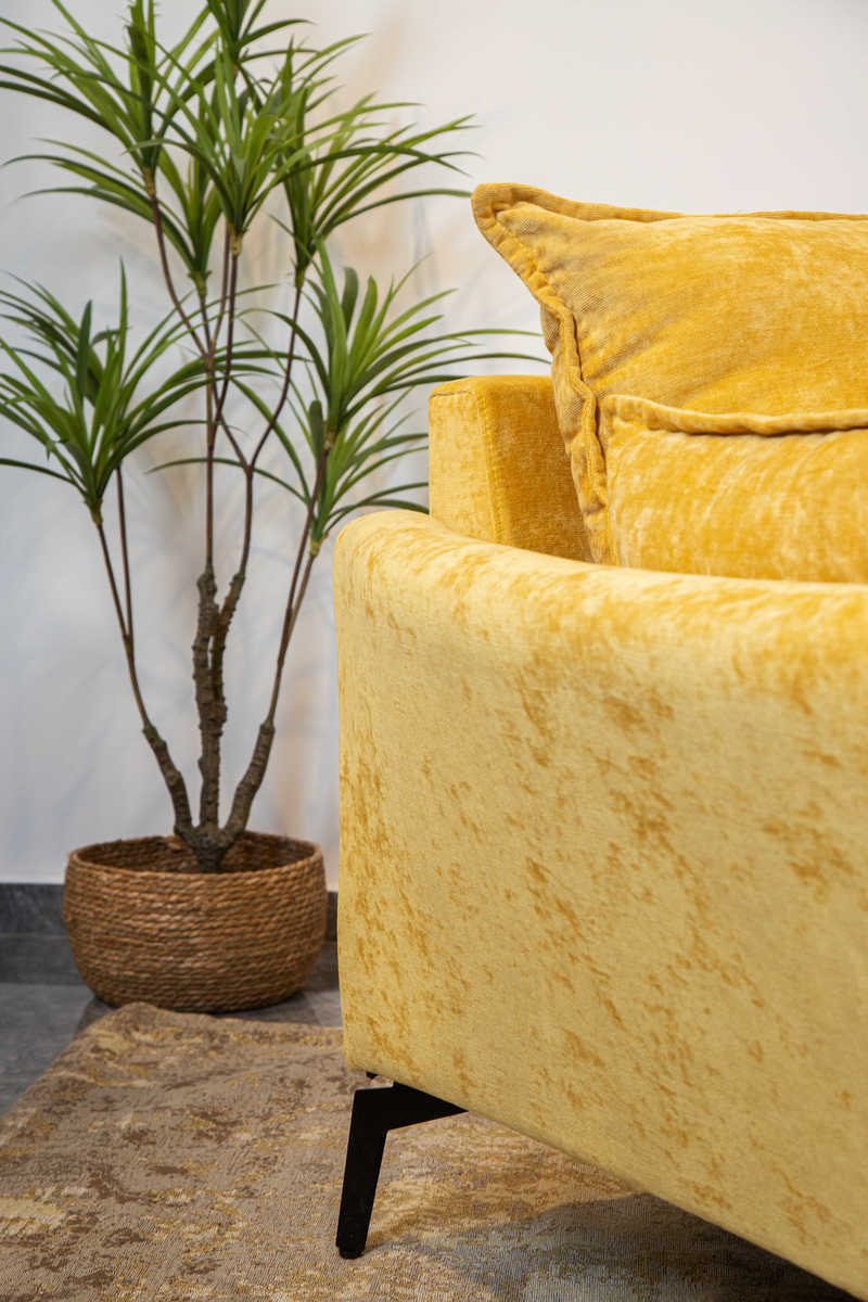 ����� ��� ���� ����� ���� ���� ���� ������ TUDO DESIGN