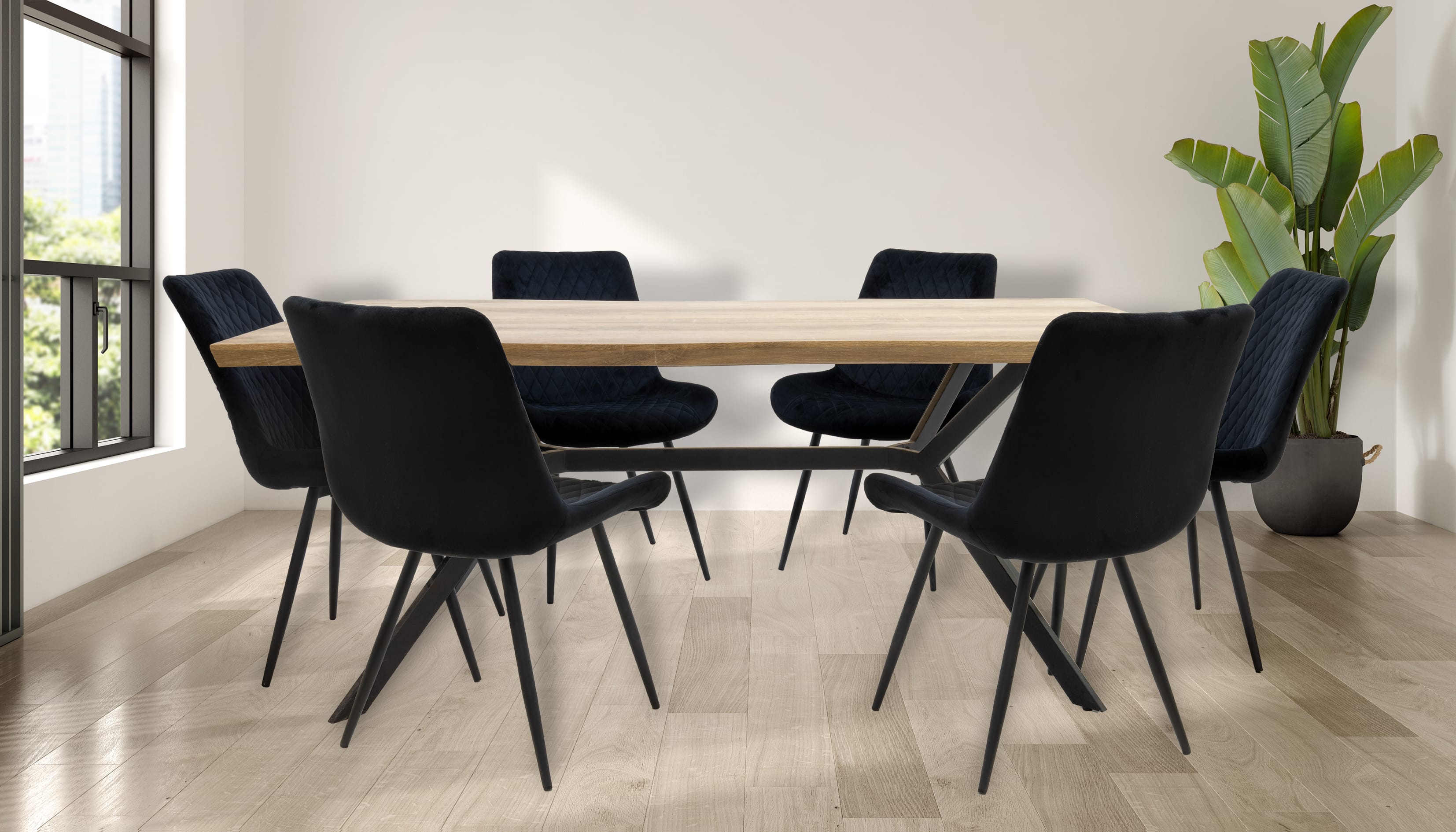 ���� ���� ����� �� + 6 ������ ���� ��� �������� ���� ���� ������ TUDO DESIGN