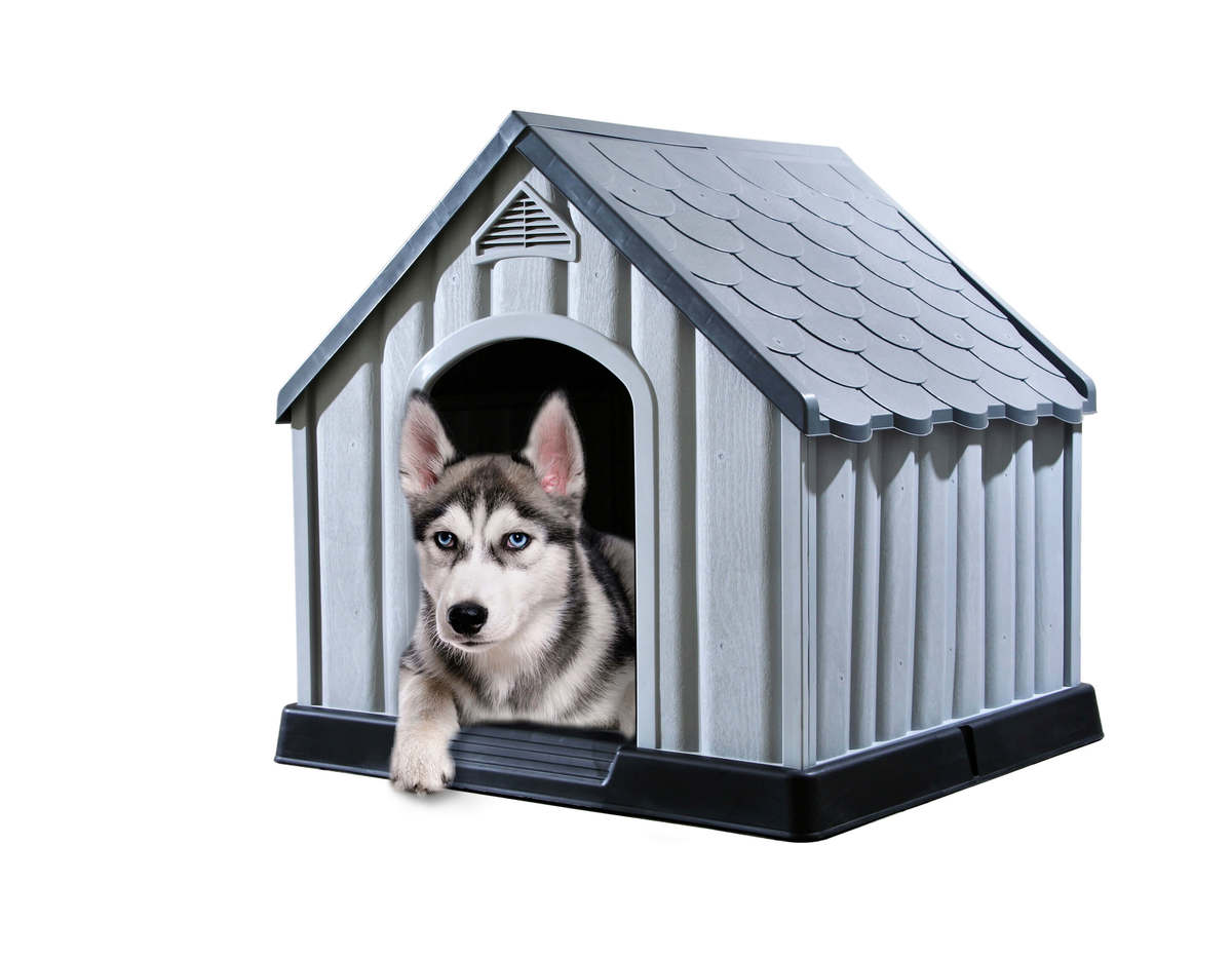 ����� ����� ���� RAM ���� ���� ������ TUDO DESIGN