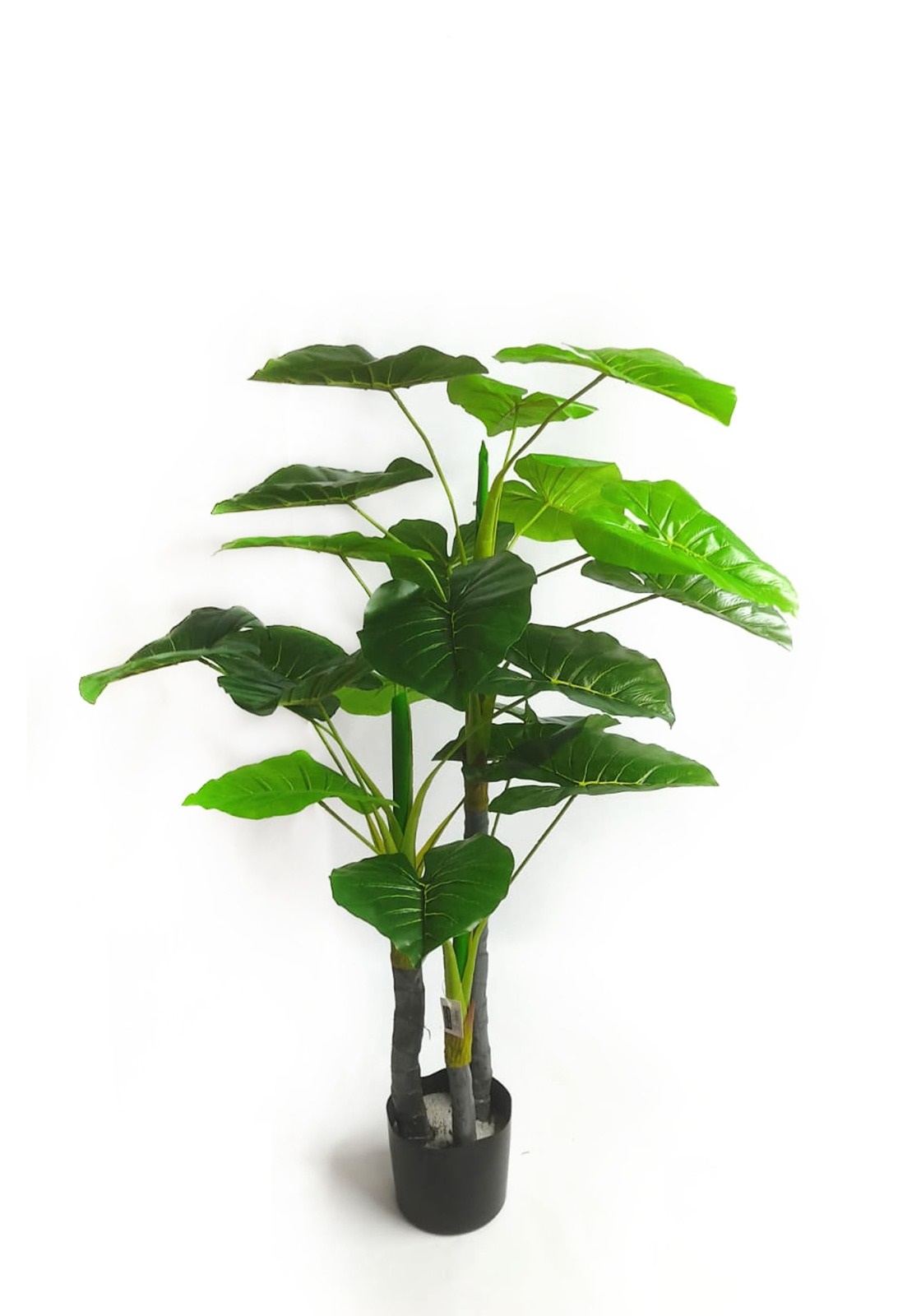 ���� ������� ������ 120 �"� ���� ���� ������ TUDO DESIGN