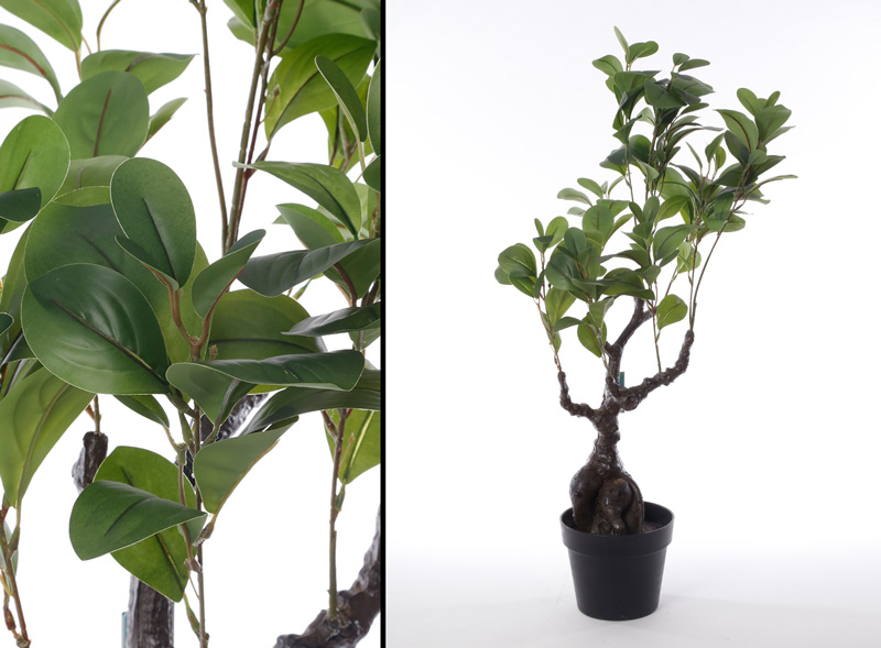 ���� ������� ���� ����� 75 �"� ���� ���� ������ TUDO DESIGN