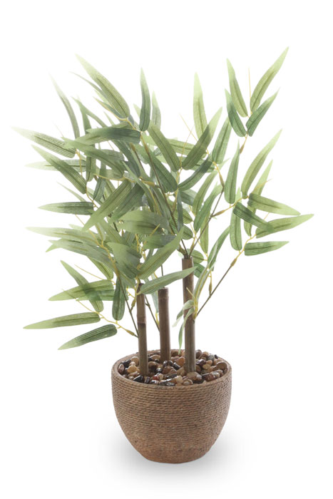 ���� ����� ������� ���� ������ ����� ��� 53 �"� ���� ���� ������ TUDO DESIGN