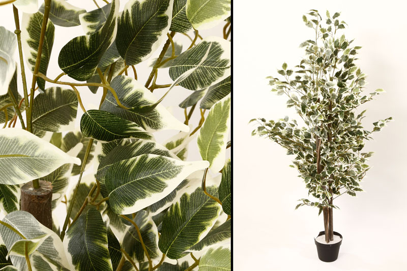 �� ����� ������� 150 �"� ���� ���� ������ TUDO DESIGN