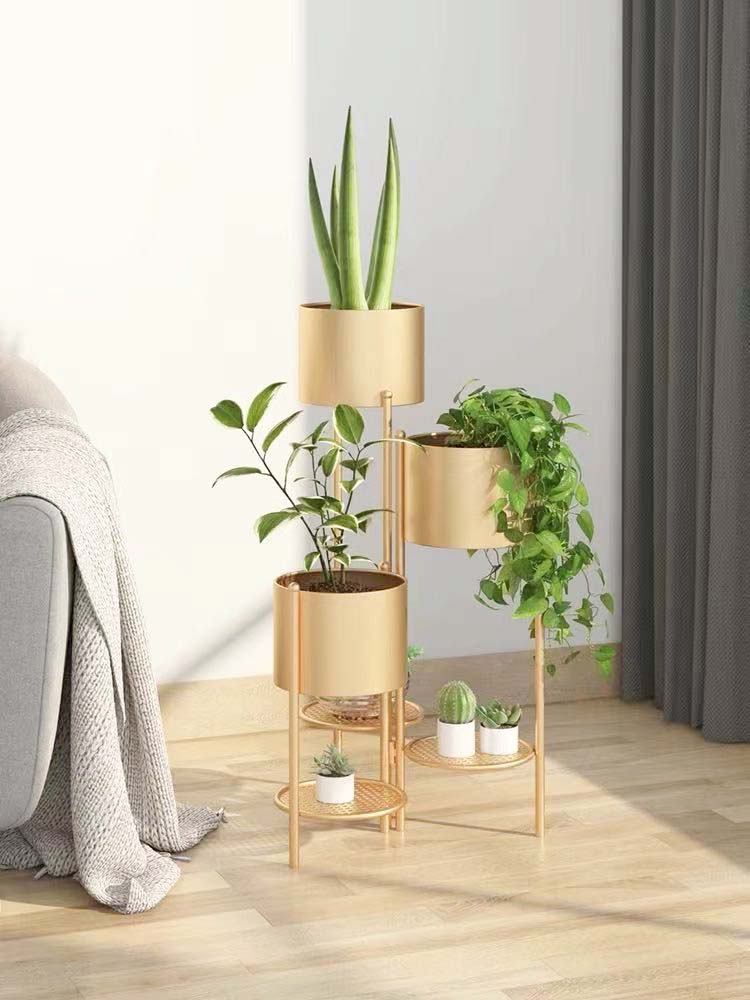 �� ������ ������� ���� ������ ����� ����� ����� ���� ���� ������ TUDO DESIGN