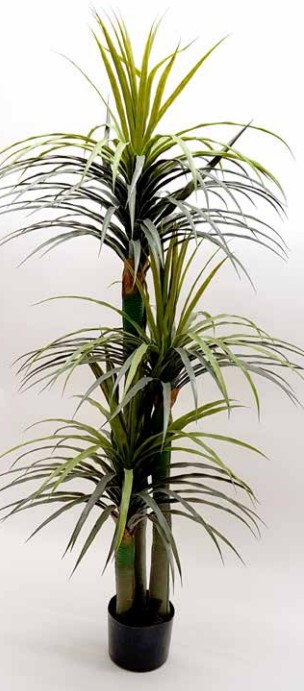 ���� ������� ������ ����� 180 �"� ���� ���� ������ TUDO DESIGN