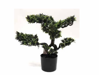 ���� ������� ������ ����� 50 �"� ���� ���� ������ TUDO DESIGN