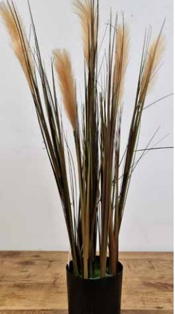 ���� ������� ������ ����� 100 �"� ���� ���� ������ TUDO DESIGN