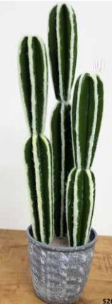 ���� ������� ������ ����� 60 �"� ���� ���� ������ TUDO DESIGN