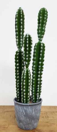 ���� ������� ������ ����� 60 �"� ���� ���� ������ TUDO DESIGN