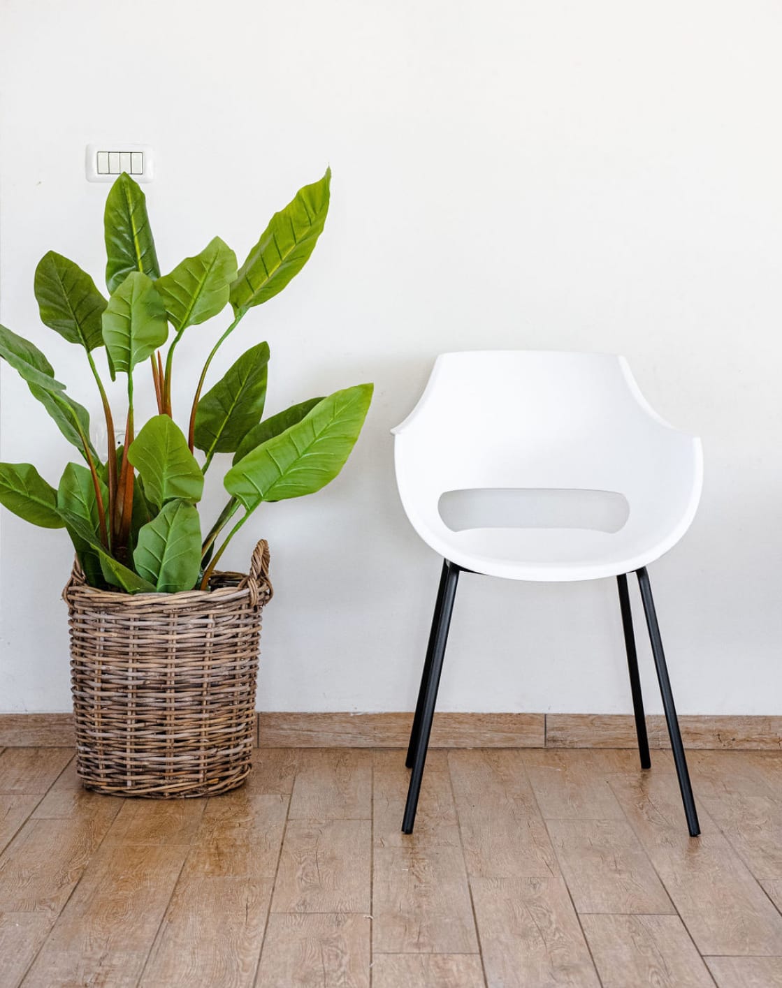 ���� ����� ���� ����� ������ ������ ����� ������ ����� ������ ��� ��� ���� ���� ������ TUDO DESIGN