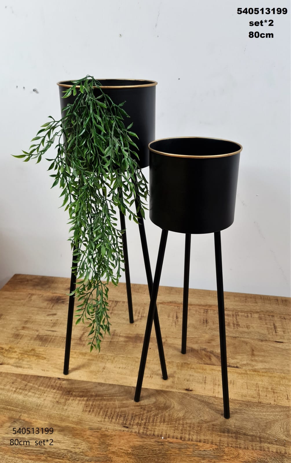 �� ��� ����� ������ ����� ���� ��� ���� ���� ������ TUDO DESIGN