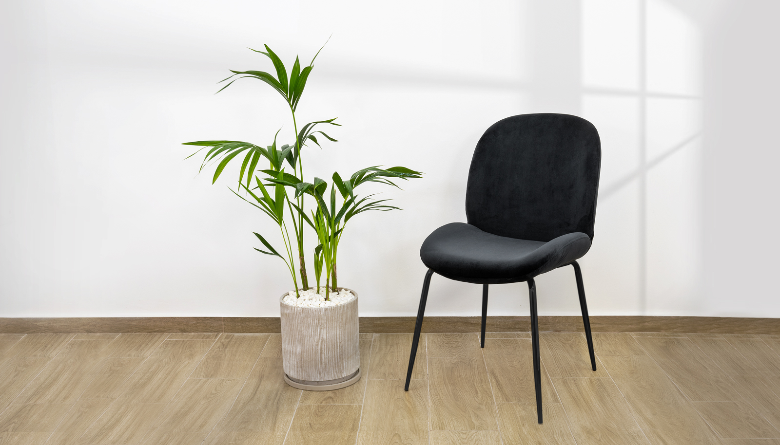 ���� ���� ����� ��� ���� ��� ���� ������ ������ ���� ���� ������ TUDO DESIGN