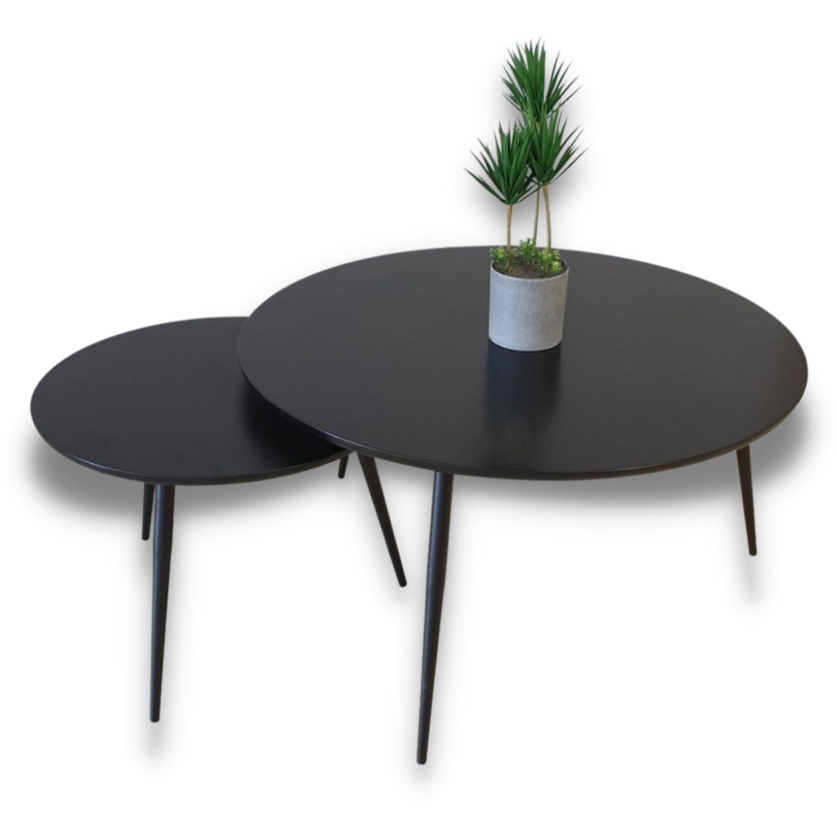 �� ��� ������� ��� ������ LORENZO ����� ���� ���� ���� ������ TUDO DESIGN