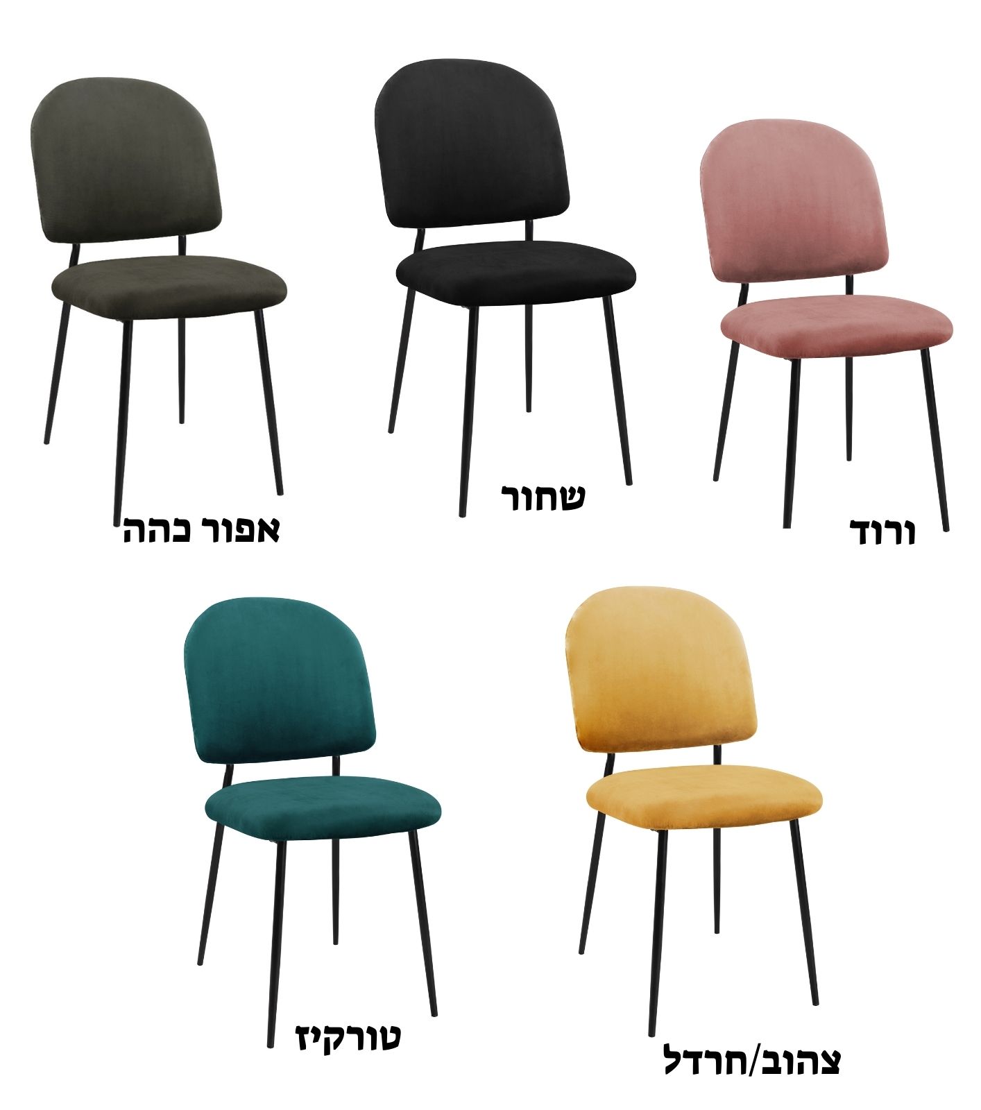 ������� ������ ���� ��� ���� �� �� ������ ������ ����� ���� ���� ������ TUDO DESIGN