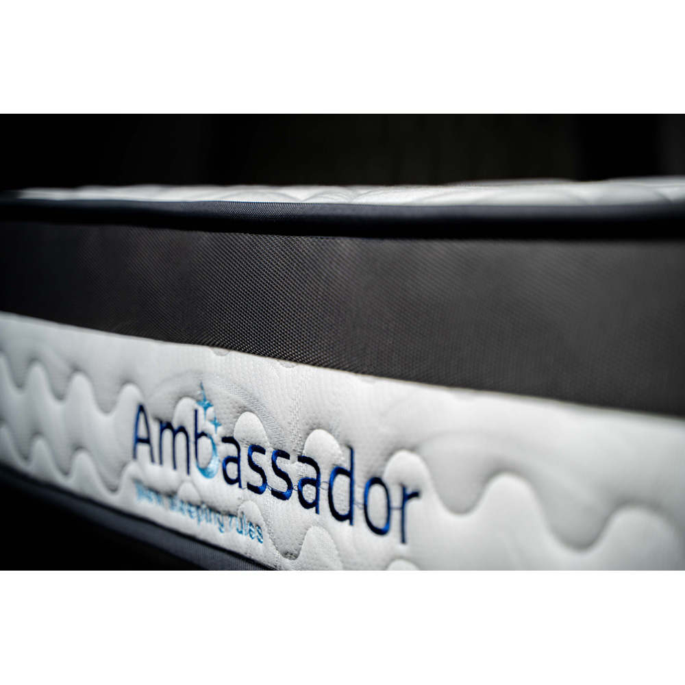 ���� ������ ��� ������ ����� ����� AMBASSADOR ��� ���� ���� ���� ������ TUDO DESIGN