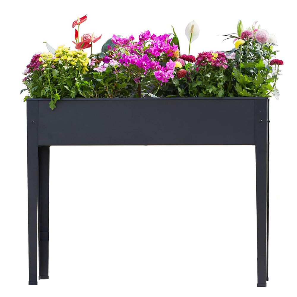 ����� ���� �� ������ ������ ����� �� ����� ��� 1902 ���� ���� ������ TUDO DESIGN ���� ����