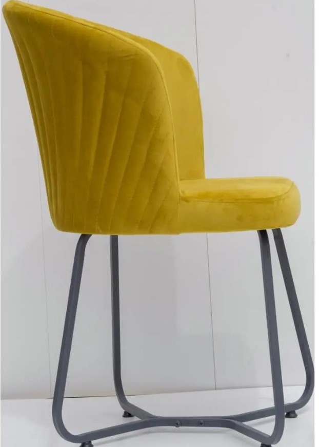 ��� ����� ���� ������ ��� Bella ������ ����� ���� ���� ������ TUDO DESIGN