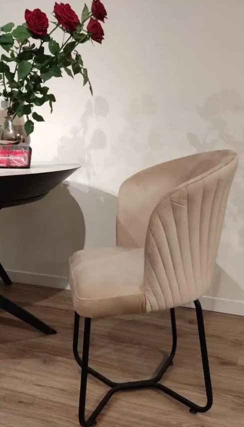 ��� ����� ���� ������ ��� Bella ������ ����� ���� ���� ������ TUDO DESIGN
