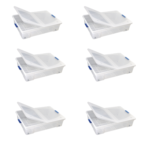 ���� ����� ����� ����� ������� 6 ������ 80 ���� �� ������ ������� ����� ������ ����� ����� 