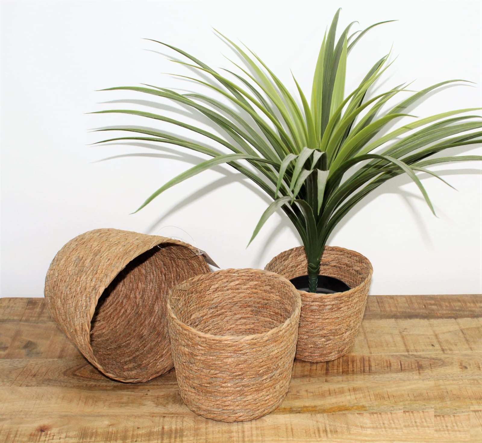 �� 3 ������ �� 