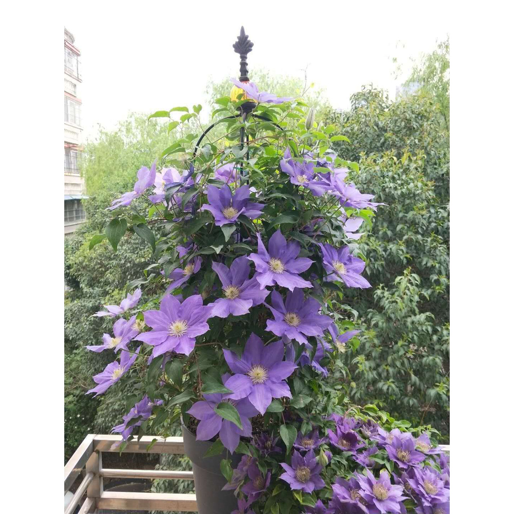 �� 2 �� ������� 80+100 �"� - ����� ������� ����� ������ ����� ������ �����