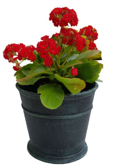 �� ����� ����� ���� 331