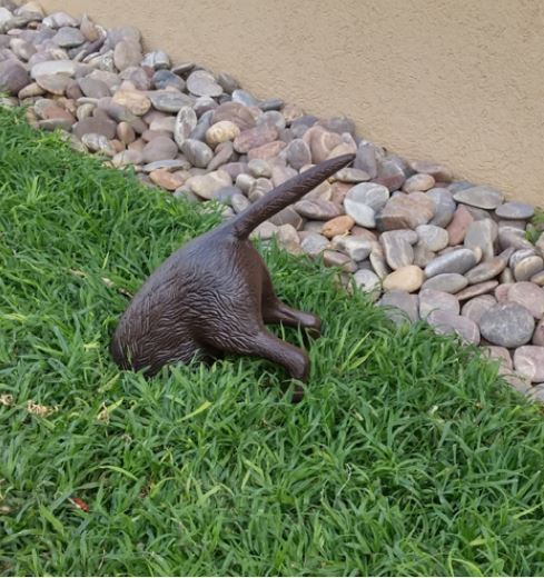 ��� ��� ��� ����� �����