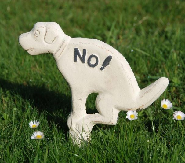 שלט כלב למדשאות ברזל לבן שלט כלב למדשאות ברזל לבן