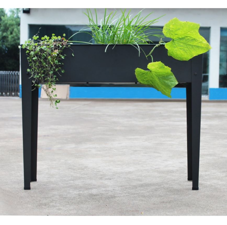 ����� ���� �� ������ ������ ����� �� ����� ��� 1902