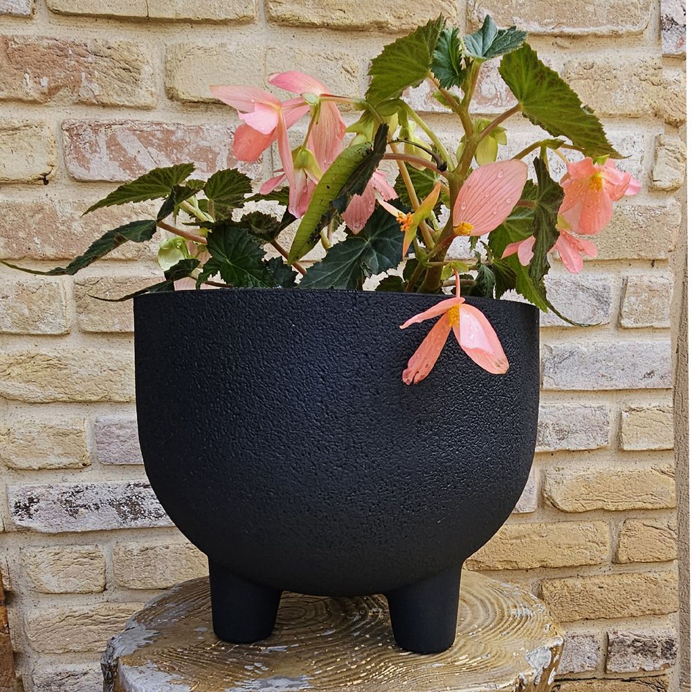 �� ����� ���� ������� JAPI �� ������ 33 �"� ��� 90208 ����