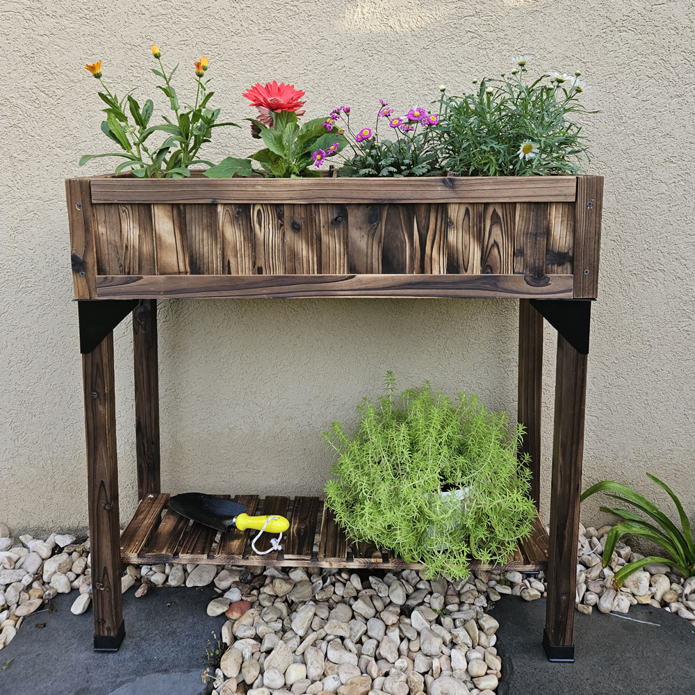 ����� �� ��� �� ������ ������ ����� �� ����� ��� 109077