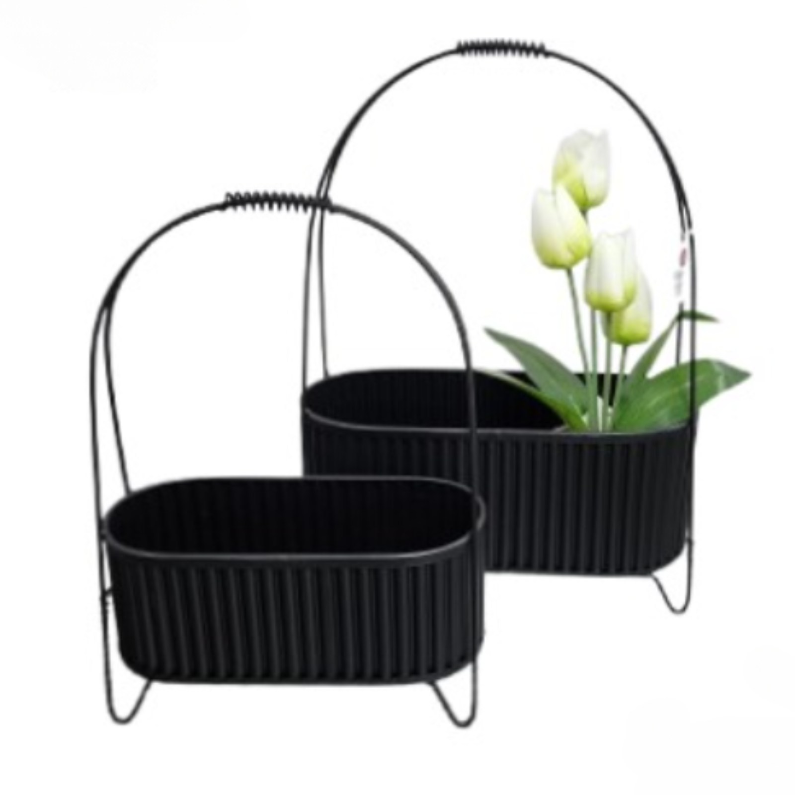 ��� ������ ���� �� ������ ����� ���� �����