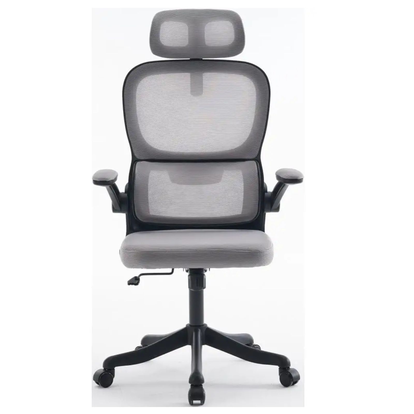 ��� ����� �������� �������� "����"  ����� ���� �� ����