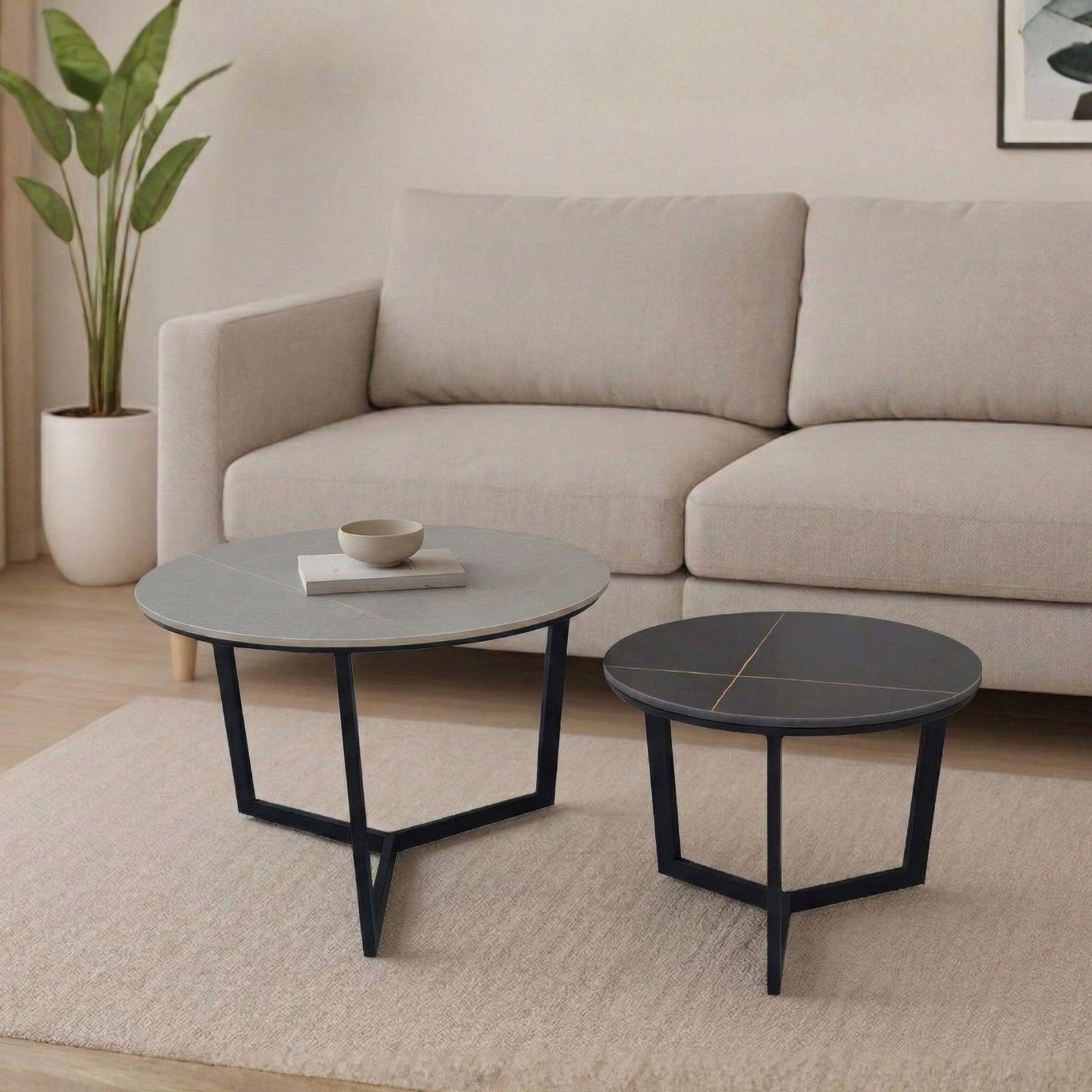 ��� ������� ���� ������ �� ���� ������ ����� ���� ������ ��� ����� VERONA ���� ���� ������