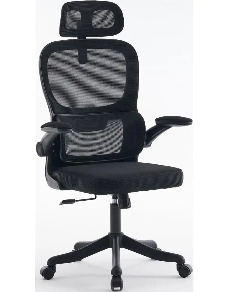 כסא משרדי אורטופדי "לוקס" כסא משרדי אורטופדי "לוקס"